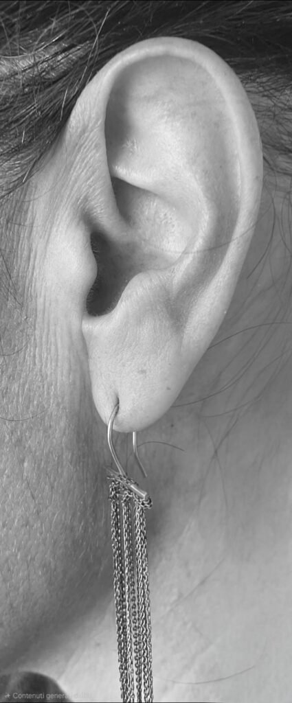 36aefb78 05f0 49f8 be92 c4d41c9525e2