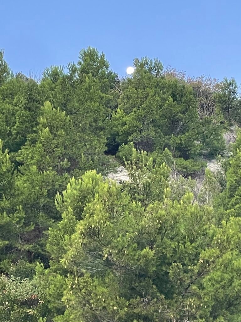 img 5643 passetto luna