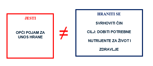 immagine 2025 10 11 000924