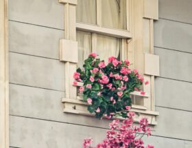 pexels fatima acunman 759286837 34136143