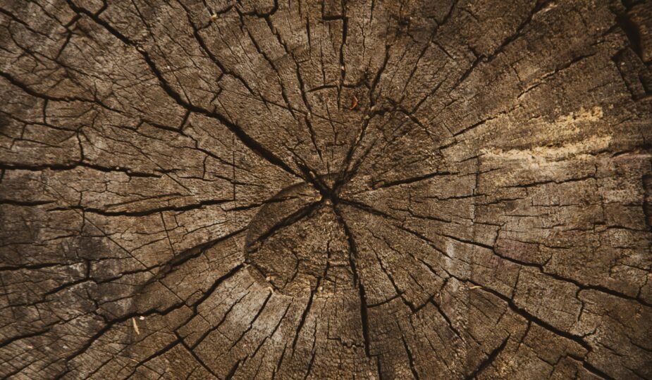 Volodymyr Hryshchenko 6YtOaq PyHY Unsplash Post Invecchiamento Primo Post 925x540