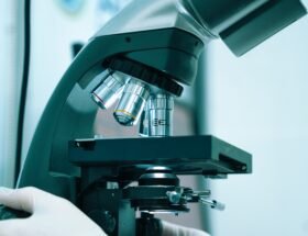 akram huseyn qv8jewwuhsi unsplash geriatria e gerontologia