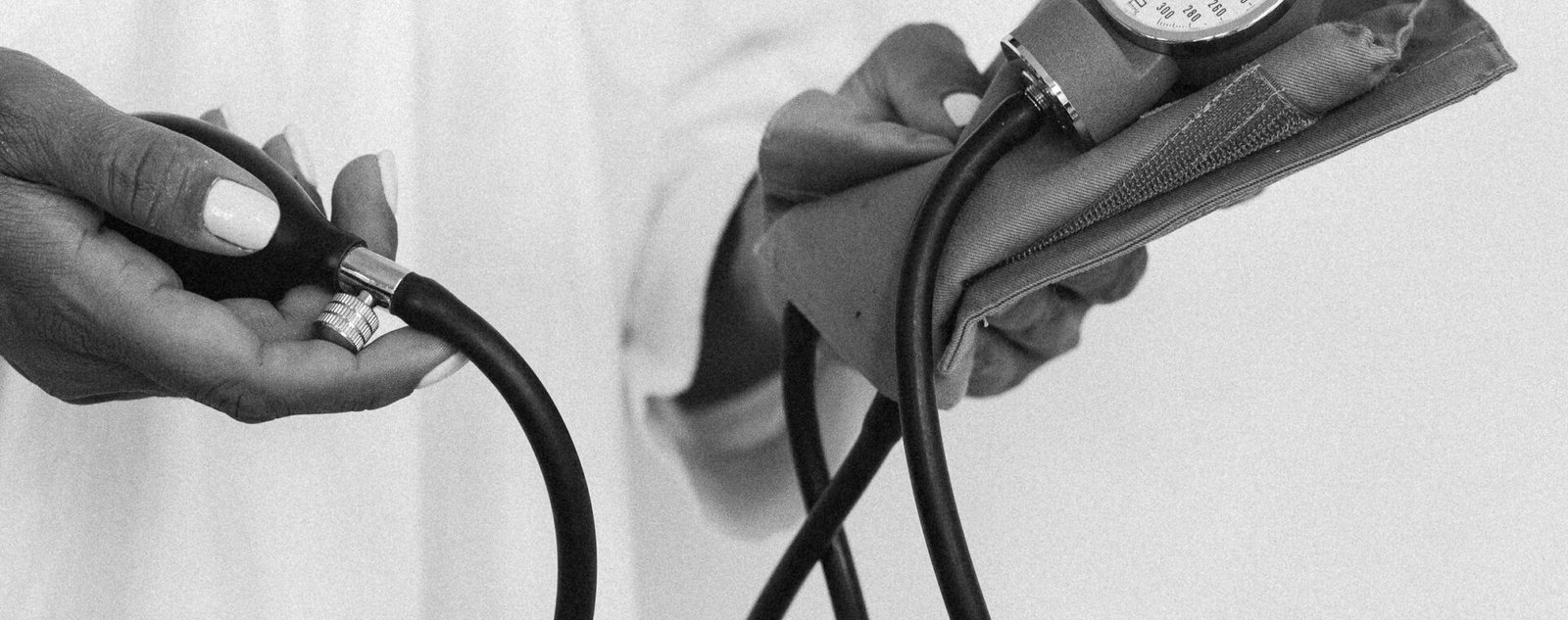 pexels anntarazevich 7904472